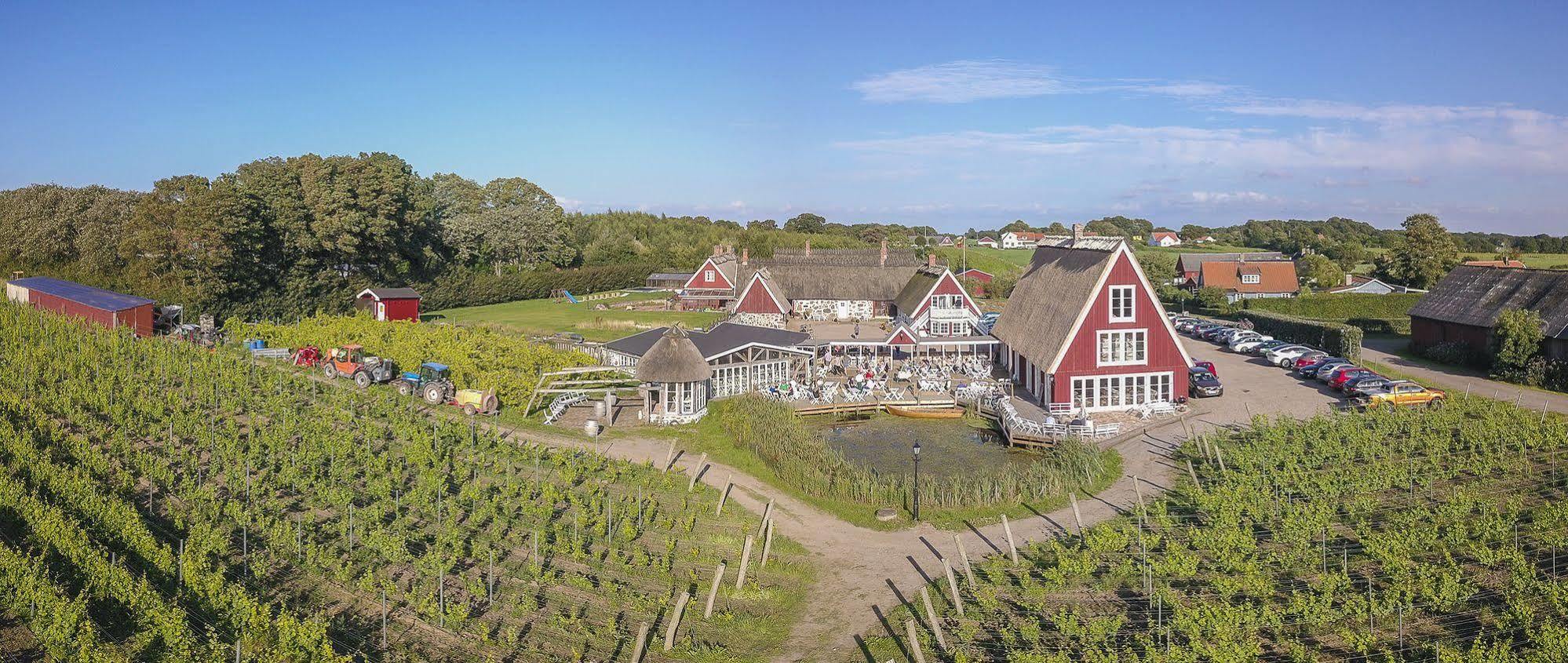 Arilds Vingard Bed & Breakfast エクステリア 写真